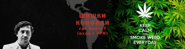 мдпв Снежногорск