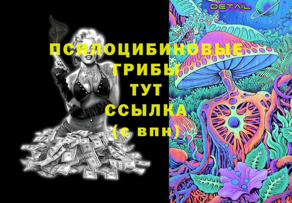 мдпв Снежногорск