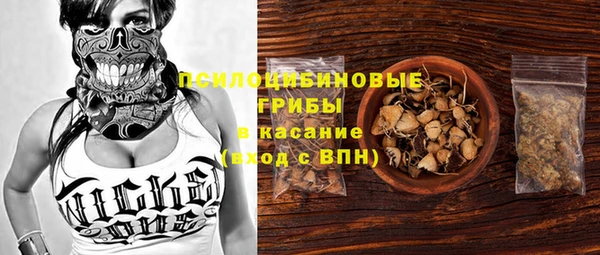 меф Снежинск