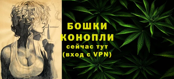 мдпв Слюдянка