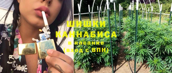 мдпв Слюдянка
