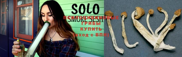меф Снежинск